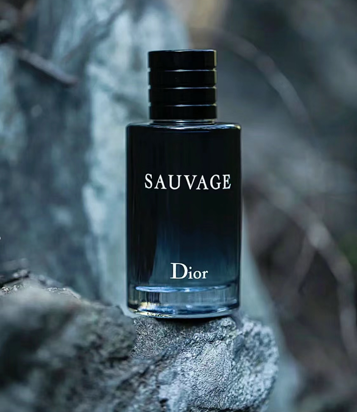 DIOR 曠野之心淡香水 雪鬆香檸檬