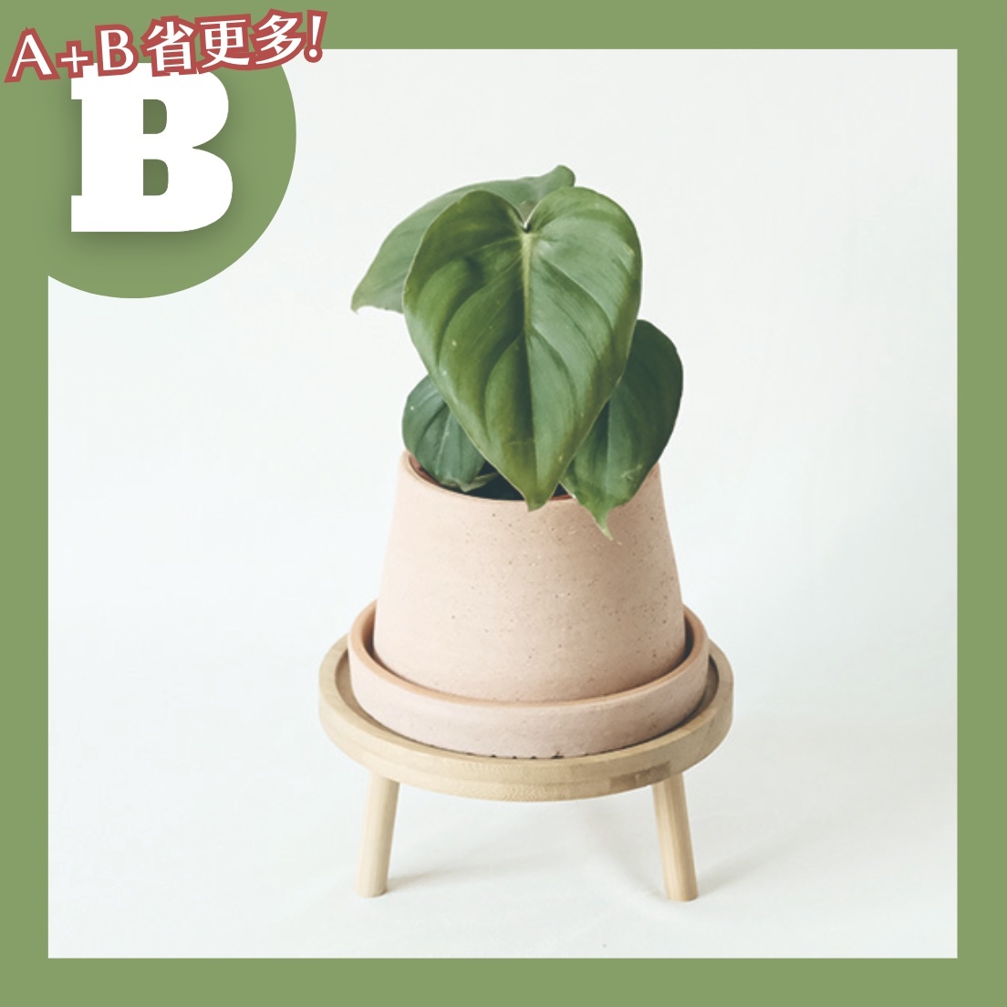 【𝐂𝐡𝐞𝐧’𝐬 𝐏𝐥𝐚𝐧𝐭限定聯名】大麥克蔓綠絨