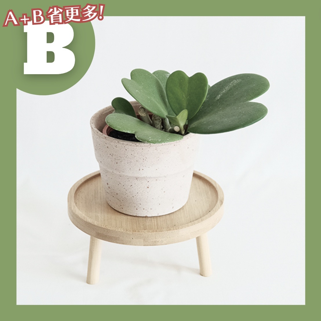 【𝐂𝐡𝐞𝐧’𝐬 𝐏𝐥𝐚𝐧𝐭限定聯名】心葉毬蘭