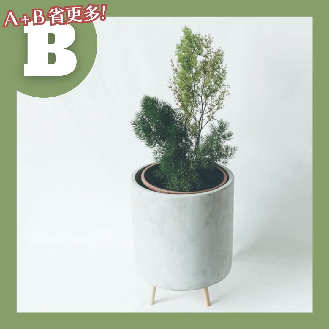 【𝐂𝐡𝐞𝐧’𝐬 𝐏𝐥𝐚𝐧𝐭限定聯名】松葉武竹