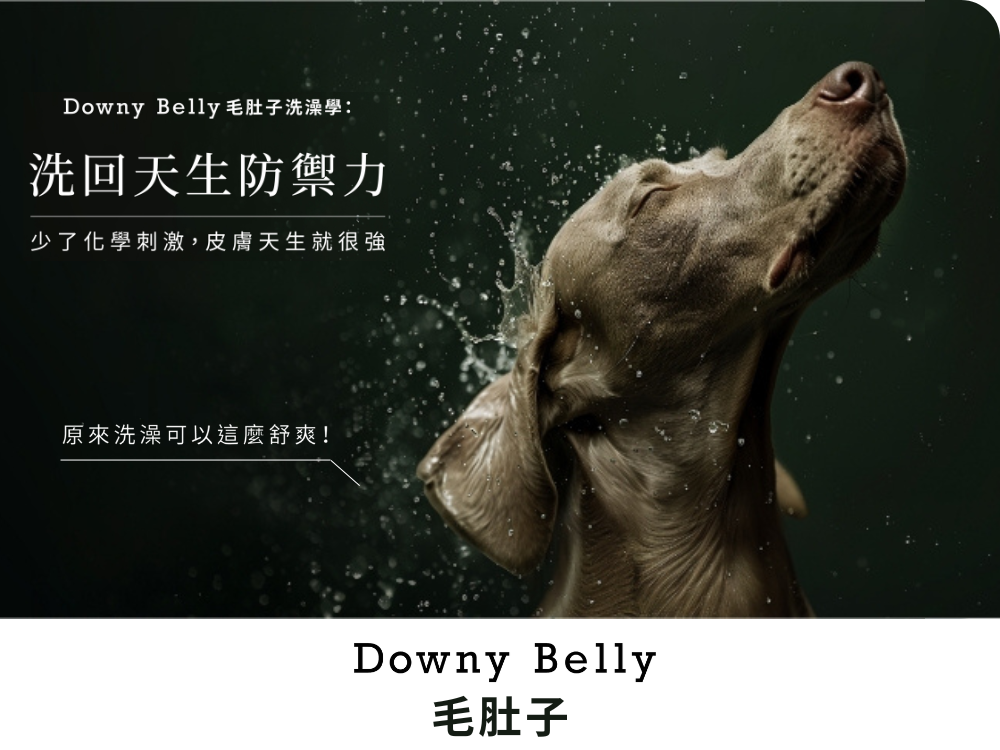 天然洗毛精寵物選品