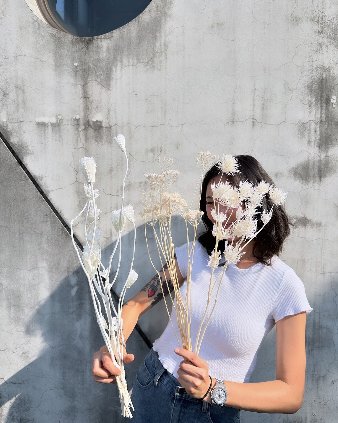 茴香 大花水芹 刺芹花（日本）