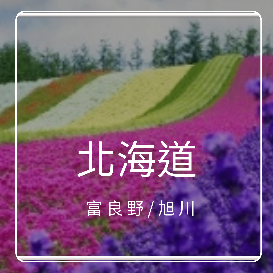 北海道-富良野/旭川