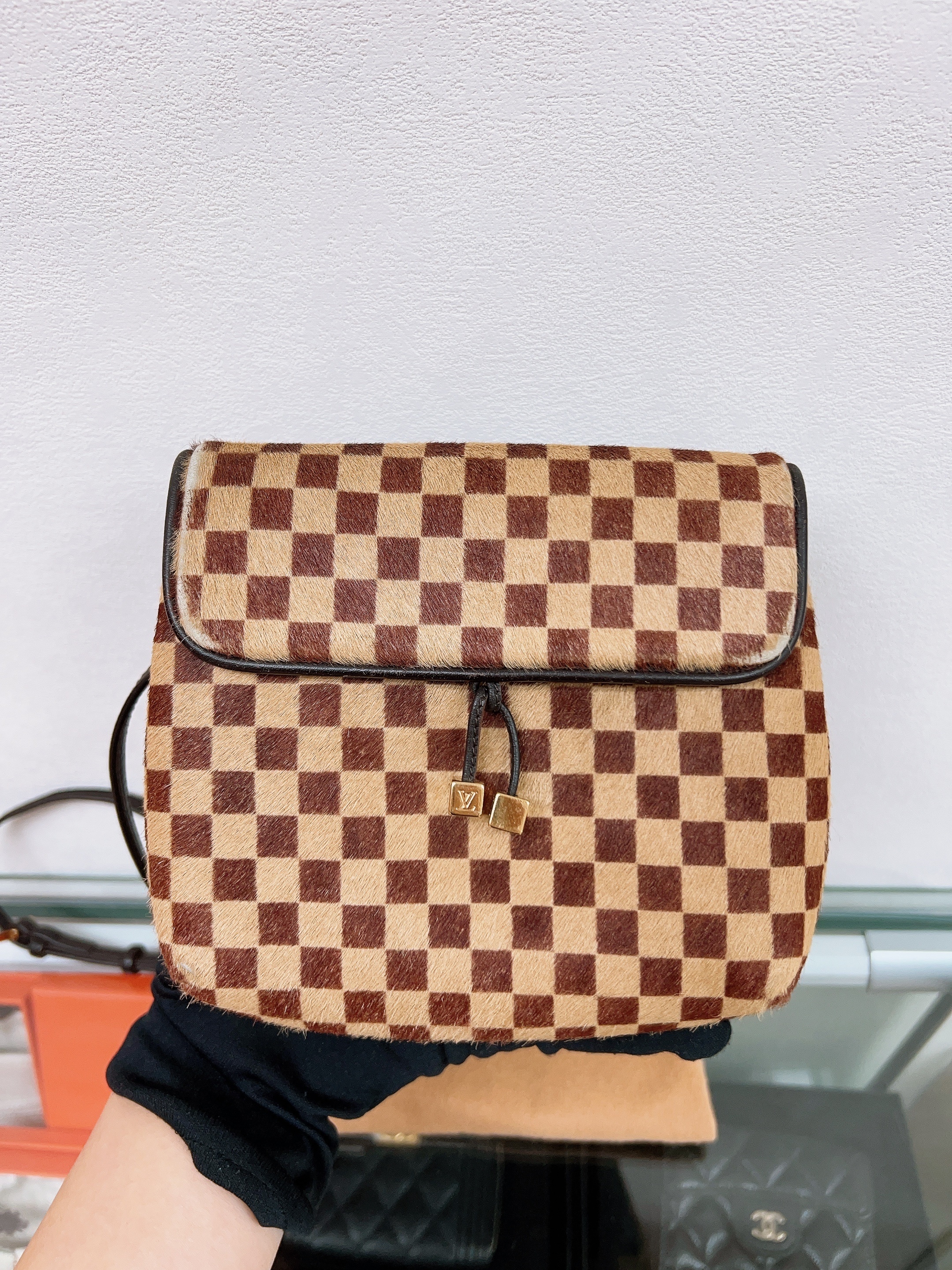 Lv ebene damier mini bag horse hair