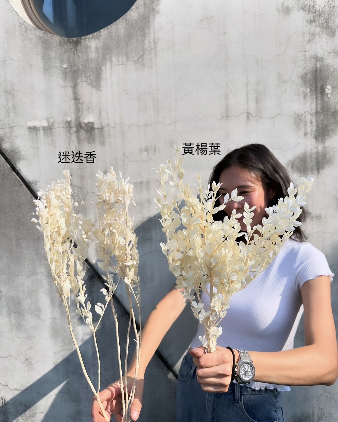 迷迭香葉 、黃楊葉（日本）