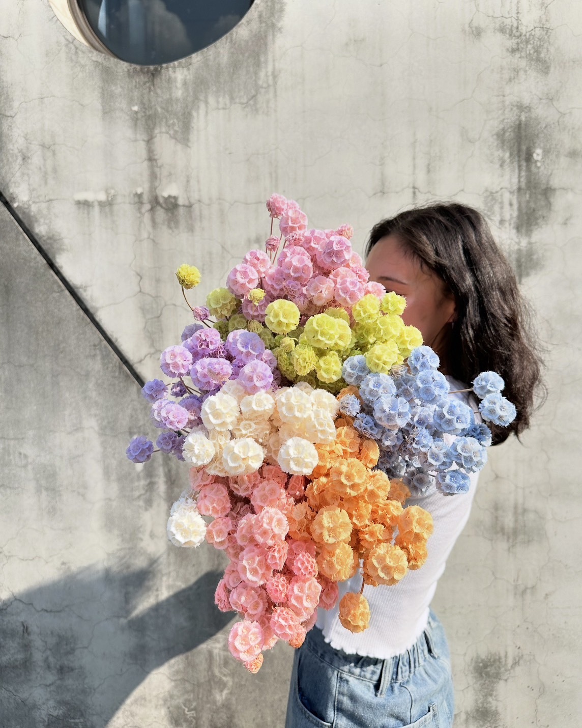 永生松蟲果（多頭）