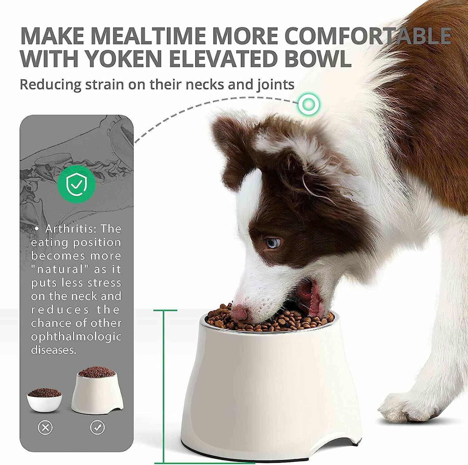 Super Design Stainless Steel Elevated Dog Bowl