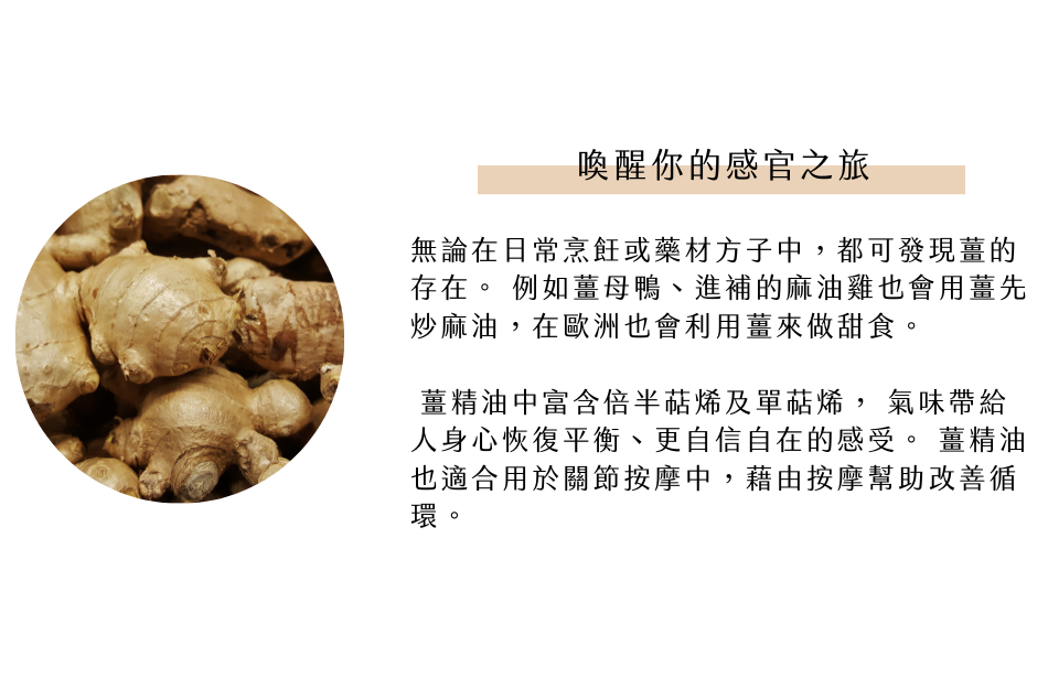 喚醒你的感官之旅