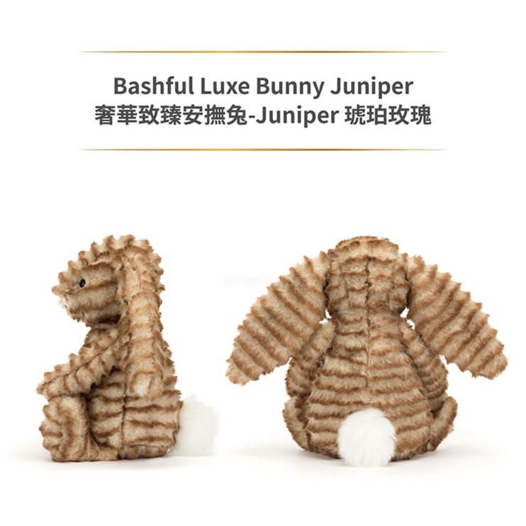 【樂森藥局】Jellycat 英國 奢華致臻安撫兔 31cm、安撫娃娃、安撫玩偶