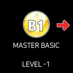 B1 MASTER BASIC L1
