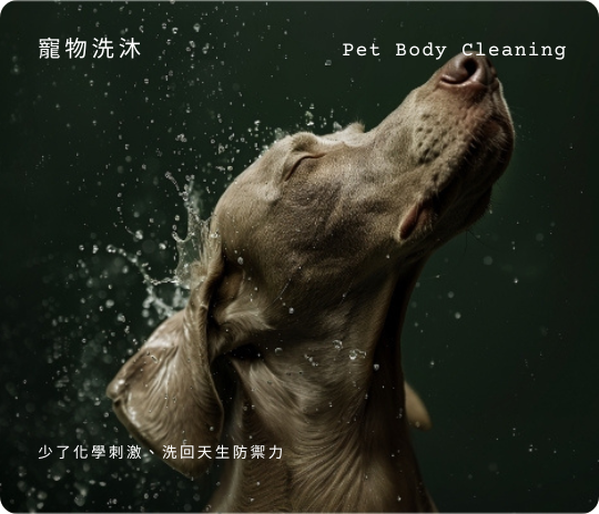 寵物天然抗菌低敏洗毛精