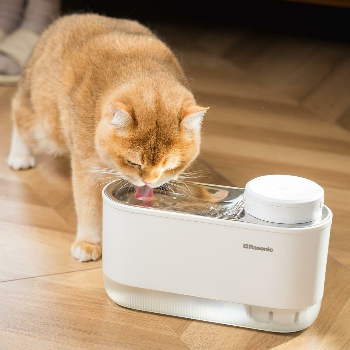 Rasonic 樂信牌 AQUA-WAVE 無線寵物飲水器