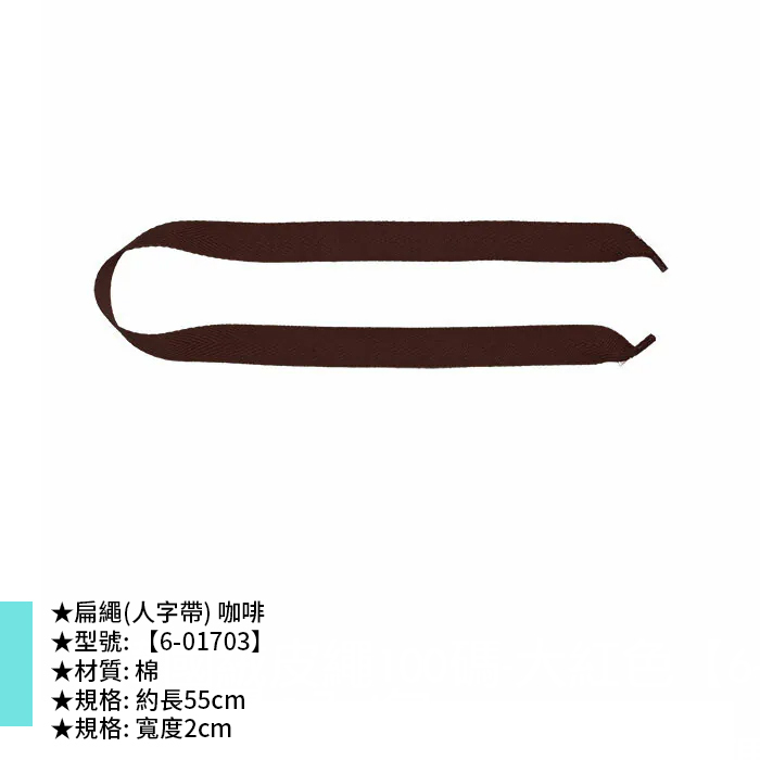 扁繩(人字帶) 咖啡 10入/包 55*2cm【6-01703】