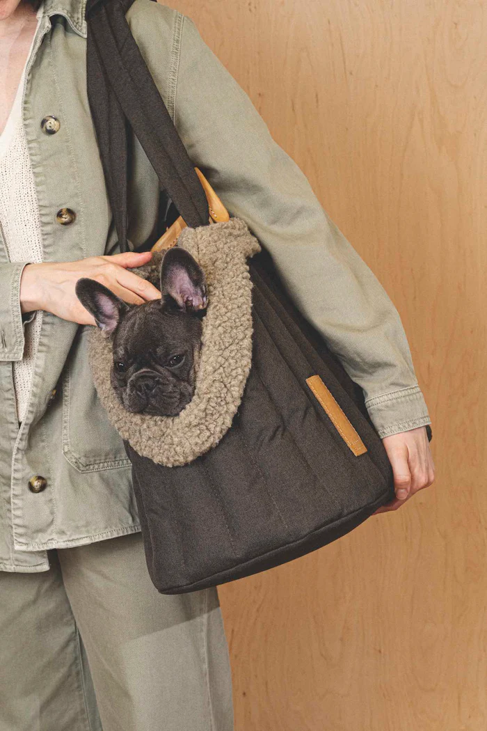 СARRYING PONY 外出包