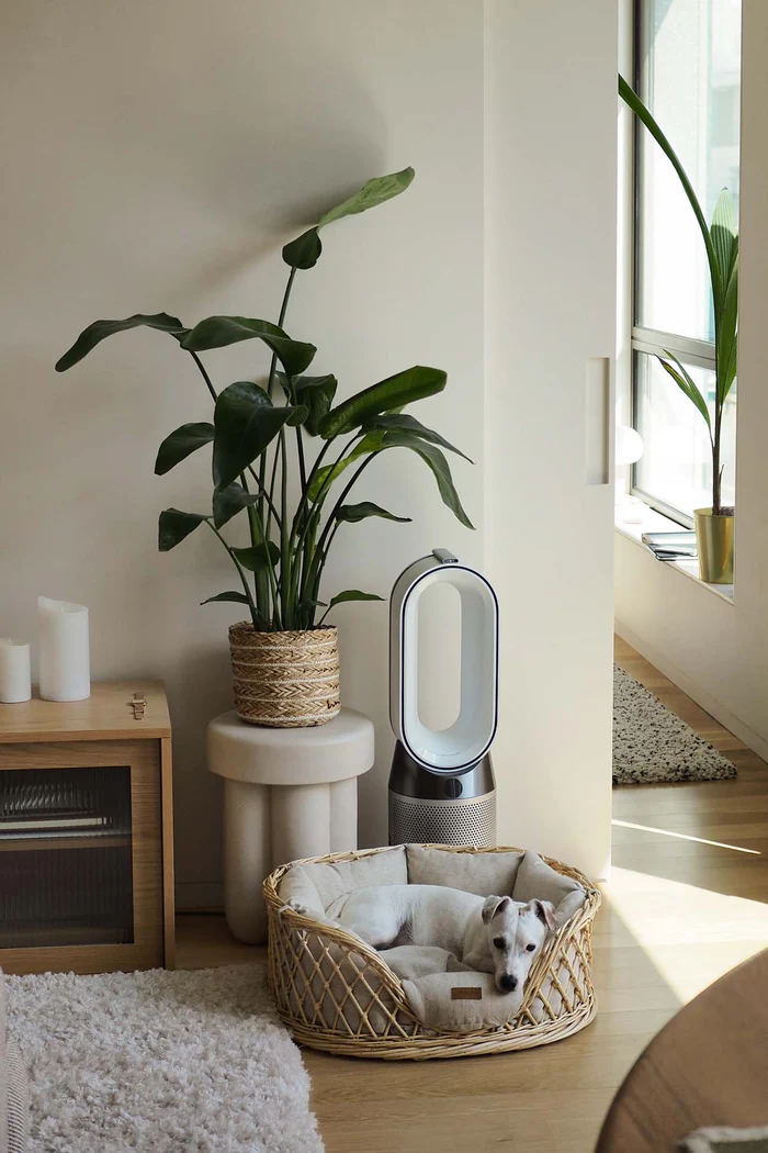 Hunting Pony 藤編寵物床 