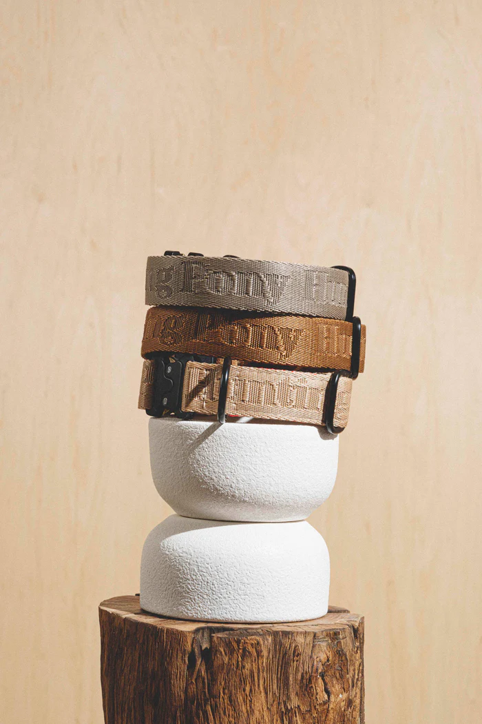 Pony-Companiony 百搭尼龍 項圈