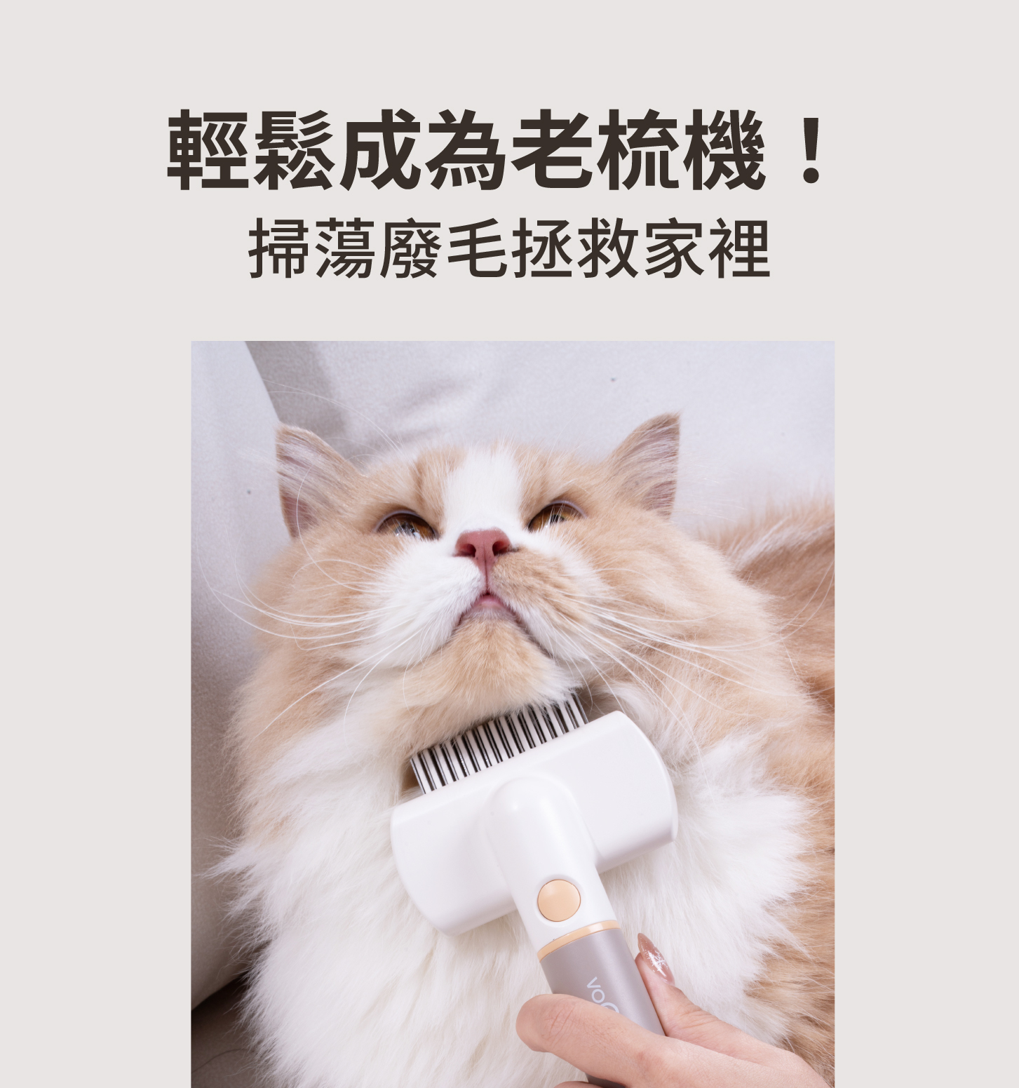 Voocoo蔚刻 3合1寵物按摩梳