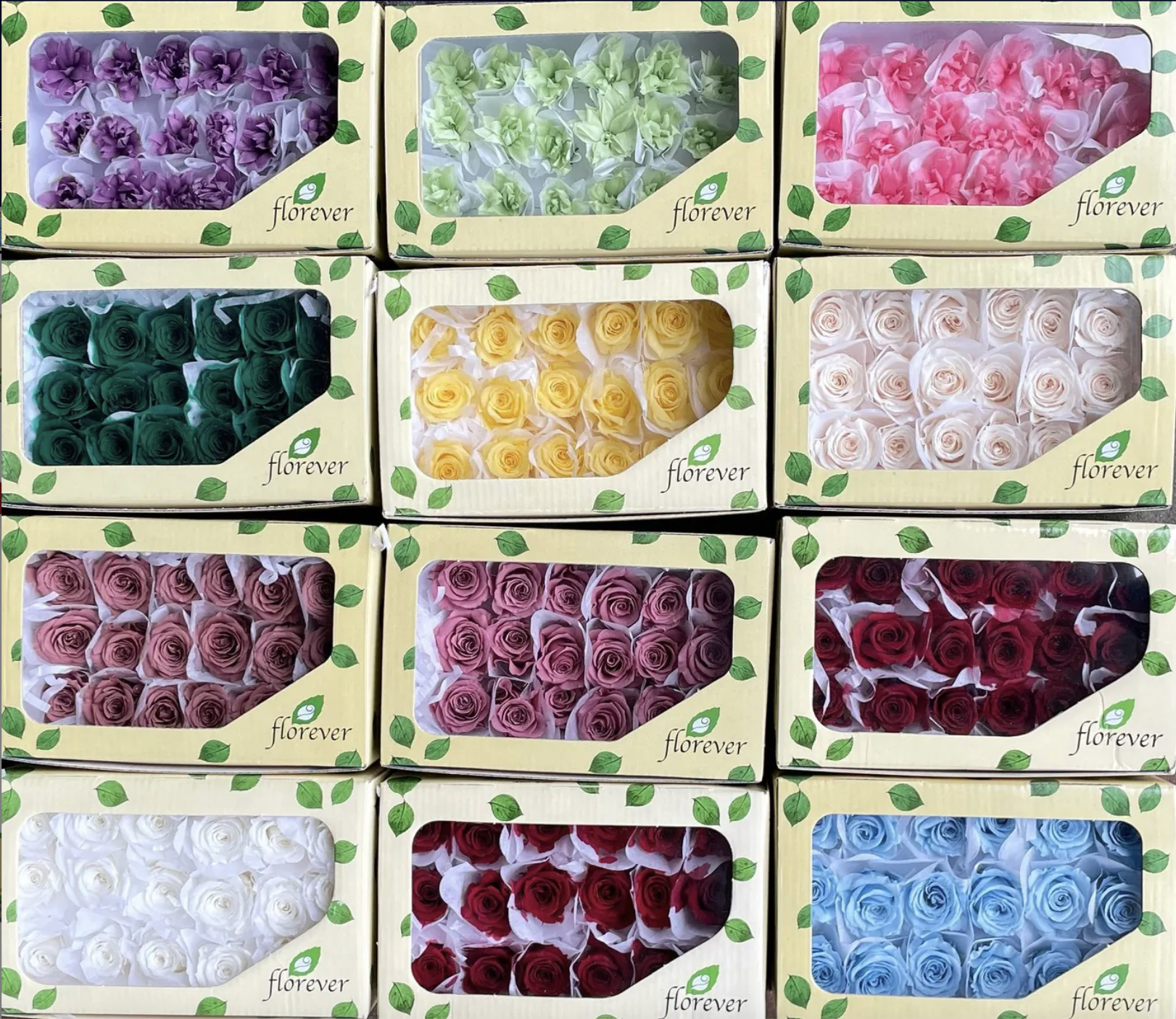日本Florever永生12輪玫瑰（4.5cm)