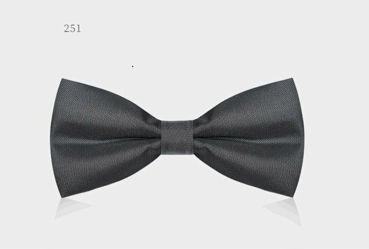 Men's Business Bow Tie (Matte Silver Grey-251)