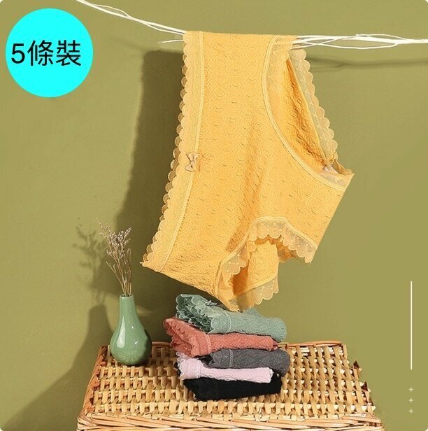 [5 packs] mid-rise lace foam underwear (small - large size) [random color, contact customer service to confirm the shipping size after placing an order]