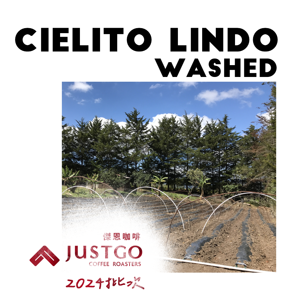 [生豆] No.1 宏都拉斯 美麗天空 水洗