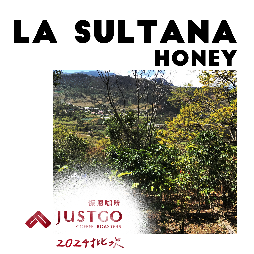 [生豆] No.109 宏都拉斯 蘇丹那莊園 蜜處理