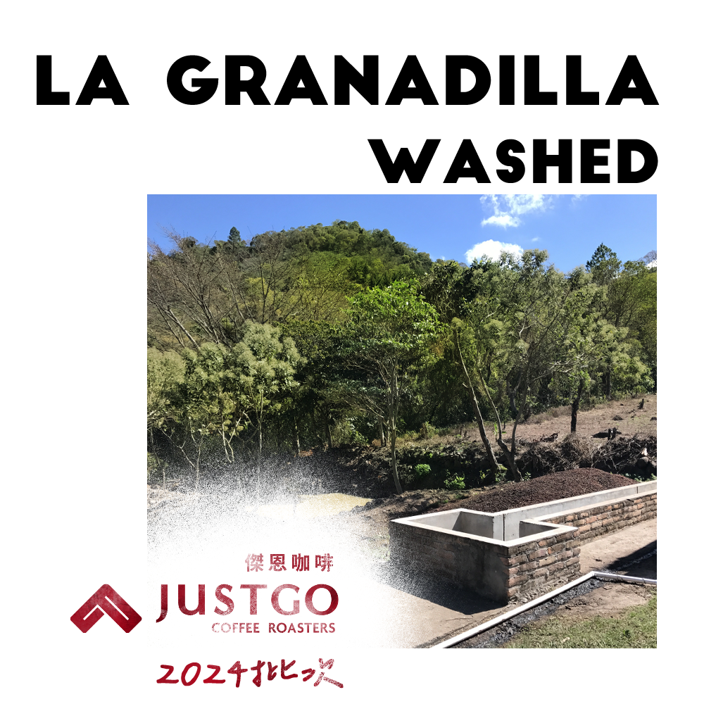 [生豆] No.111 宏都拉斯 百香果莊園 藝妓 水洗