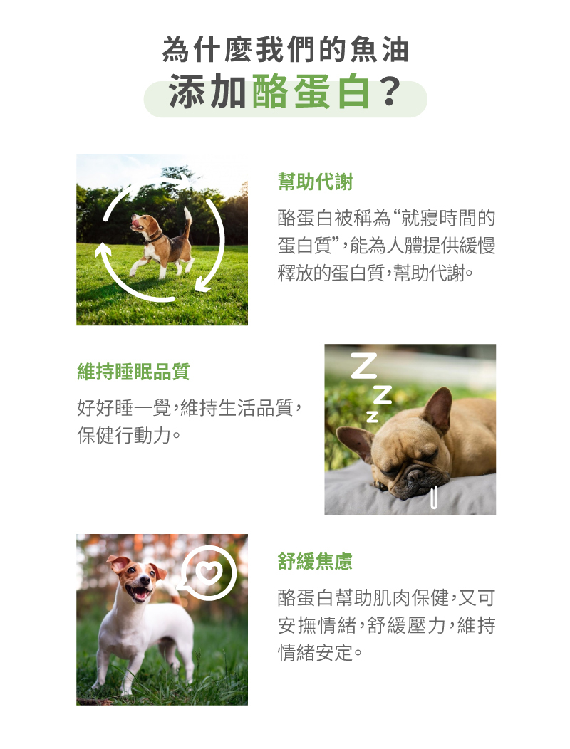 為什麼嬌寵魚油添加酪蛋白