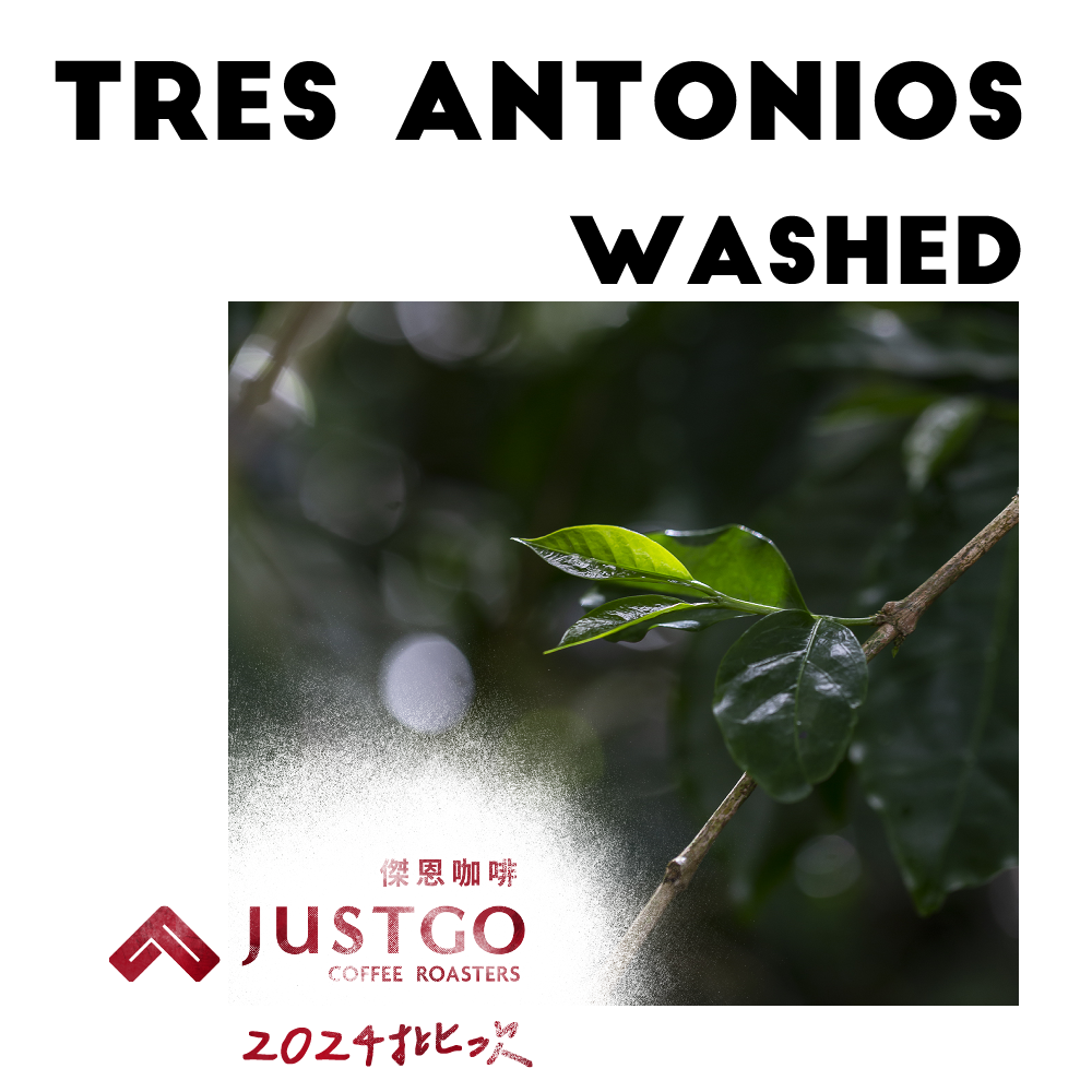 [生豆] No.184 宏都拉斯 安東尼莊園 水洗