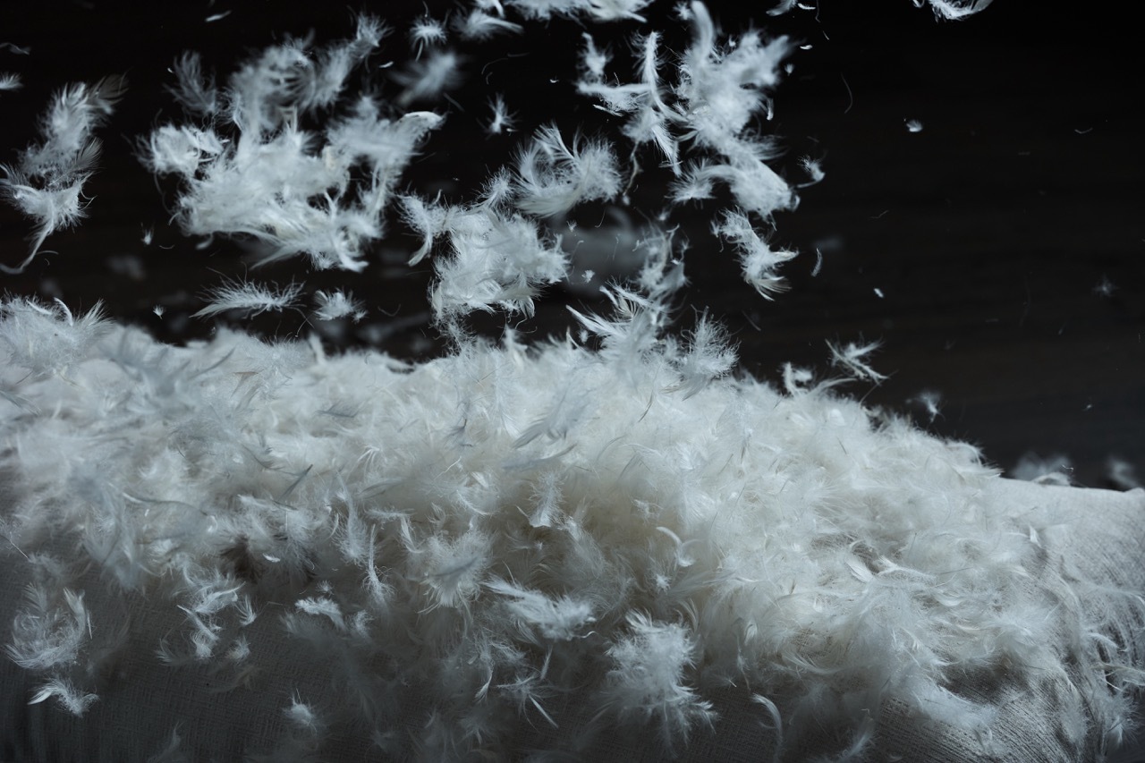 如雲朵般的獨家泡棉配方，除了不同密度的泡棉去疊加，更奢侈的添加一層鴨絨，除了讓舒適感提升之外，坐感上多了與眾不同的包覆感，鴨絨的綿密加上不同密度的泡棉層次，讓每一座沙發有棉柔、有Q彈。