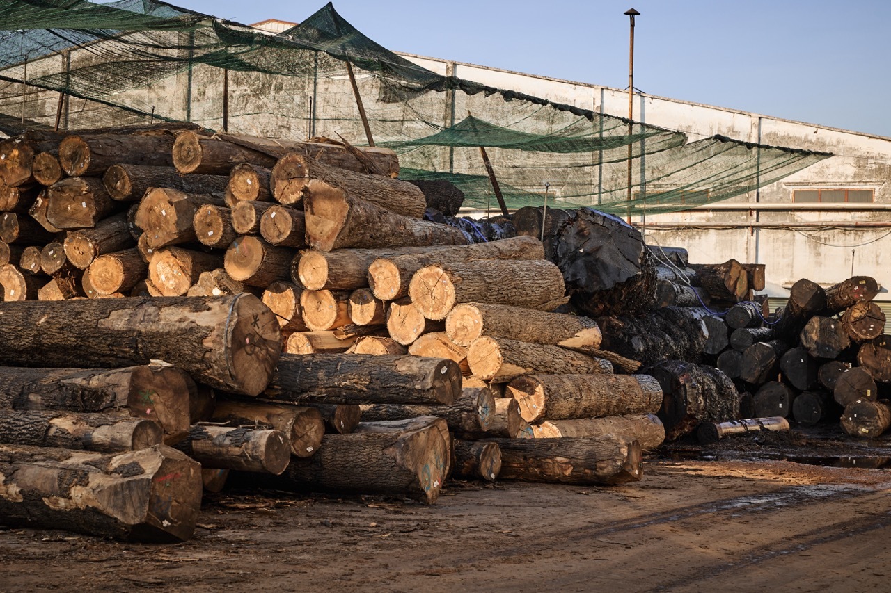 以山毛櫸木、松木等為實木原料製作沙發框架，具有堅固與穩定的特性，並納入環保永續的元素。