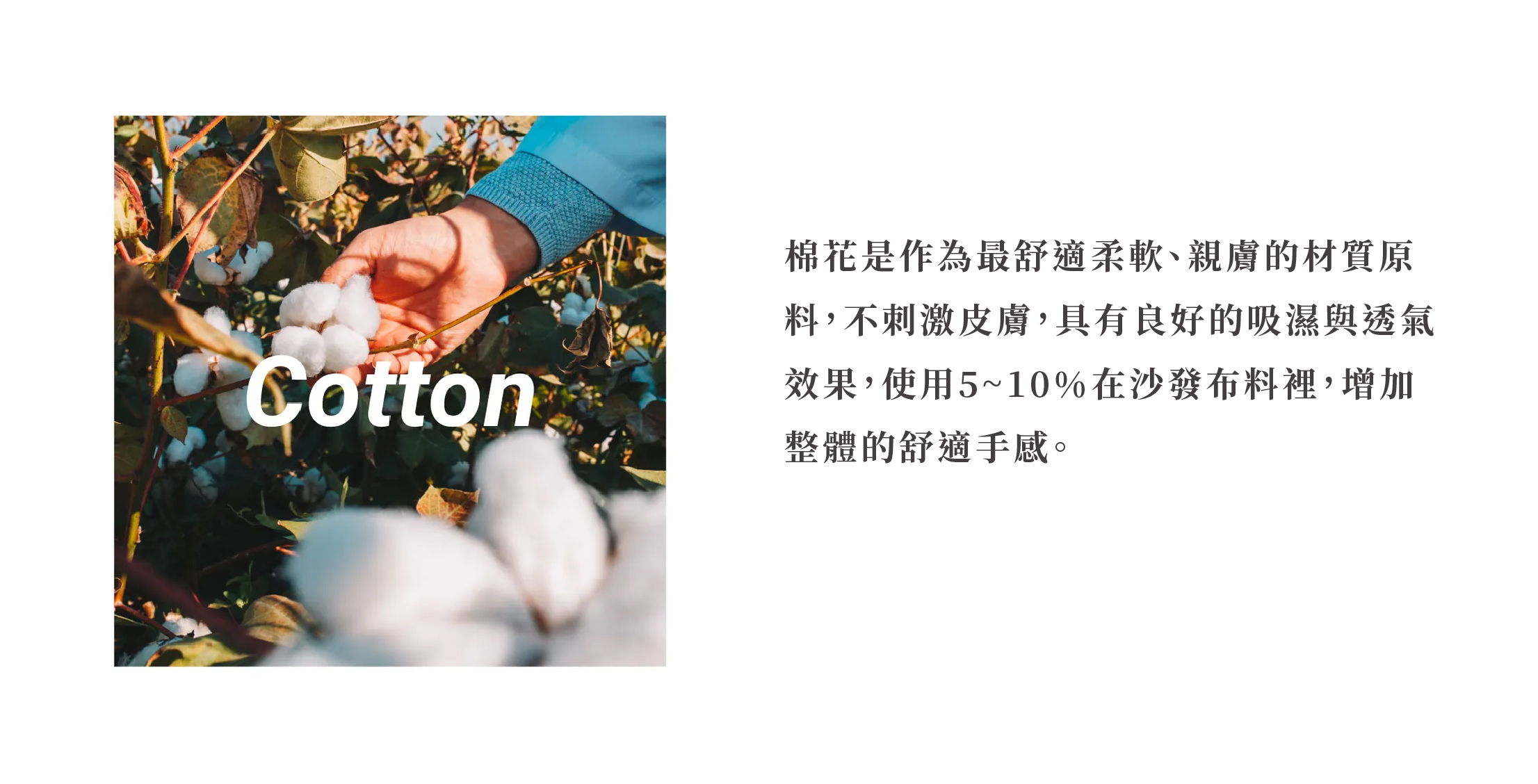 棉花是作為最舒適柔軟、親膚的材質原料，不刺激皮膚，具有良好的吸濕與透氣效果，使用5~10%在沙發布料裡，增加 整體的舒適手感。
