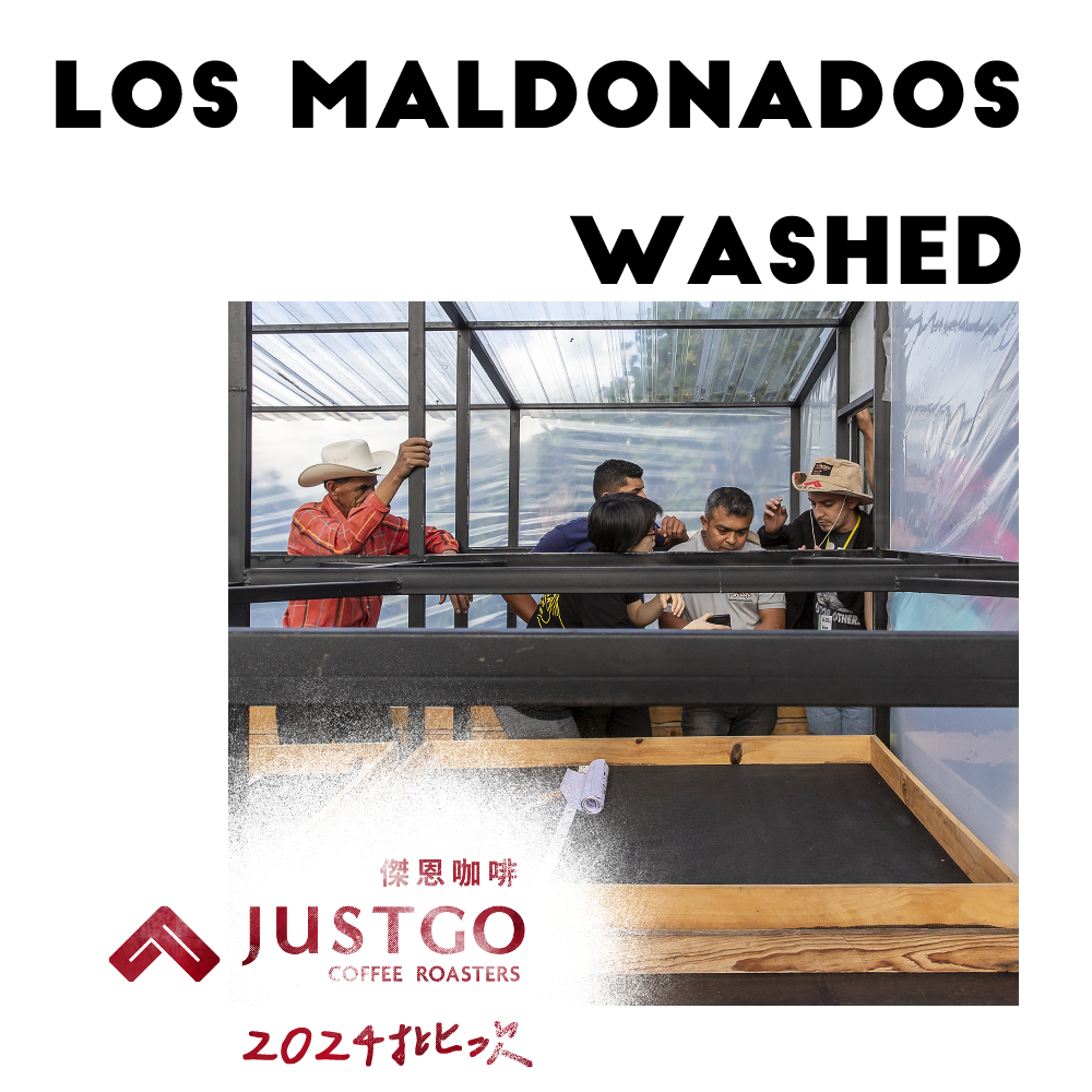 [生豆] No.176 宏都拉斯 瑪多那多莊園 水洗