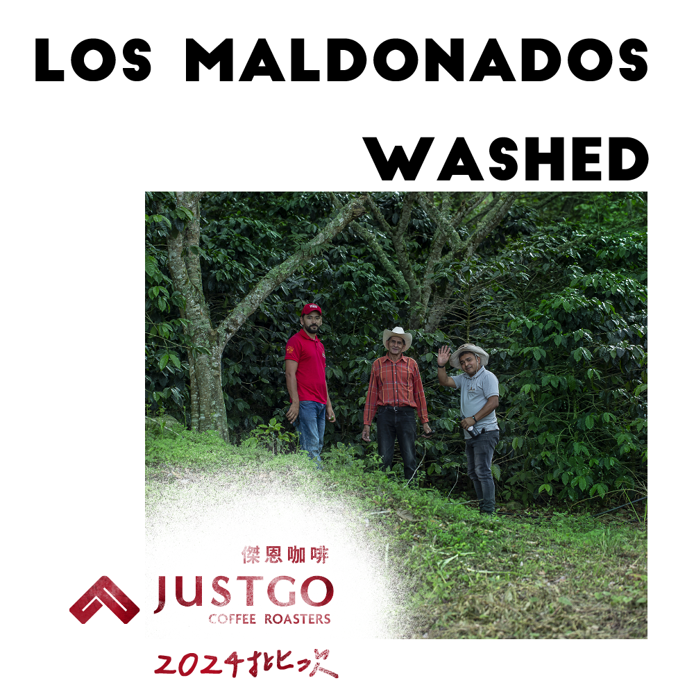 [生豆] No.174 宏都拉斯 瑪多那多 水洗