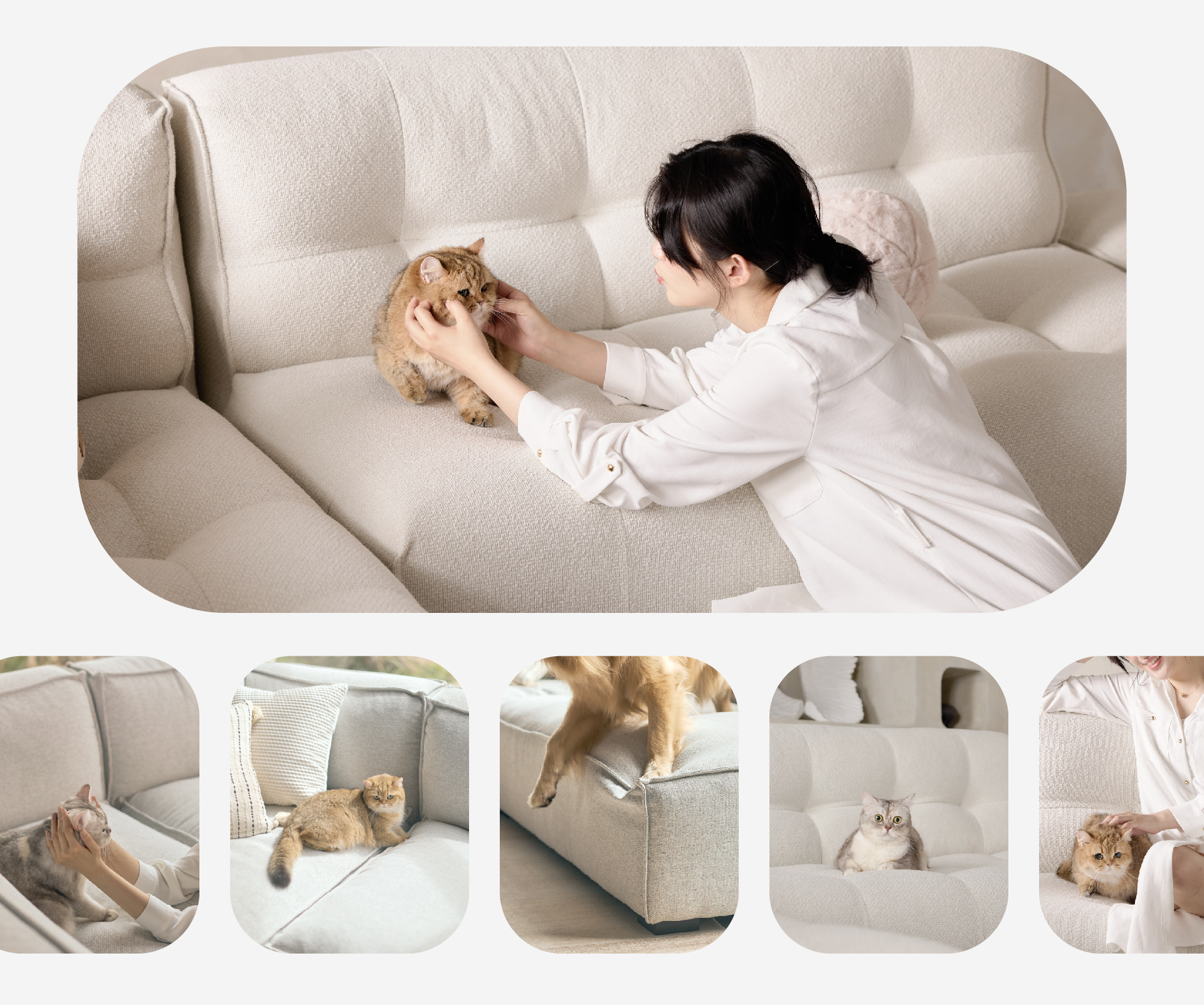 寵物高耐抓布料