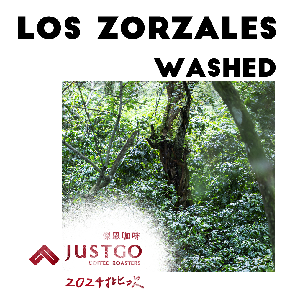 [生豆] No.5 宏都拉斯 畫眉鳥莊園 水洗