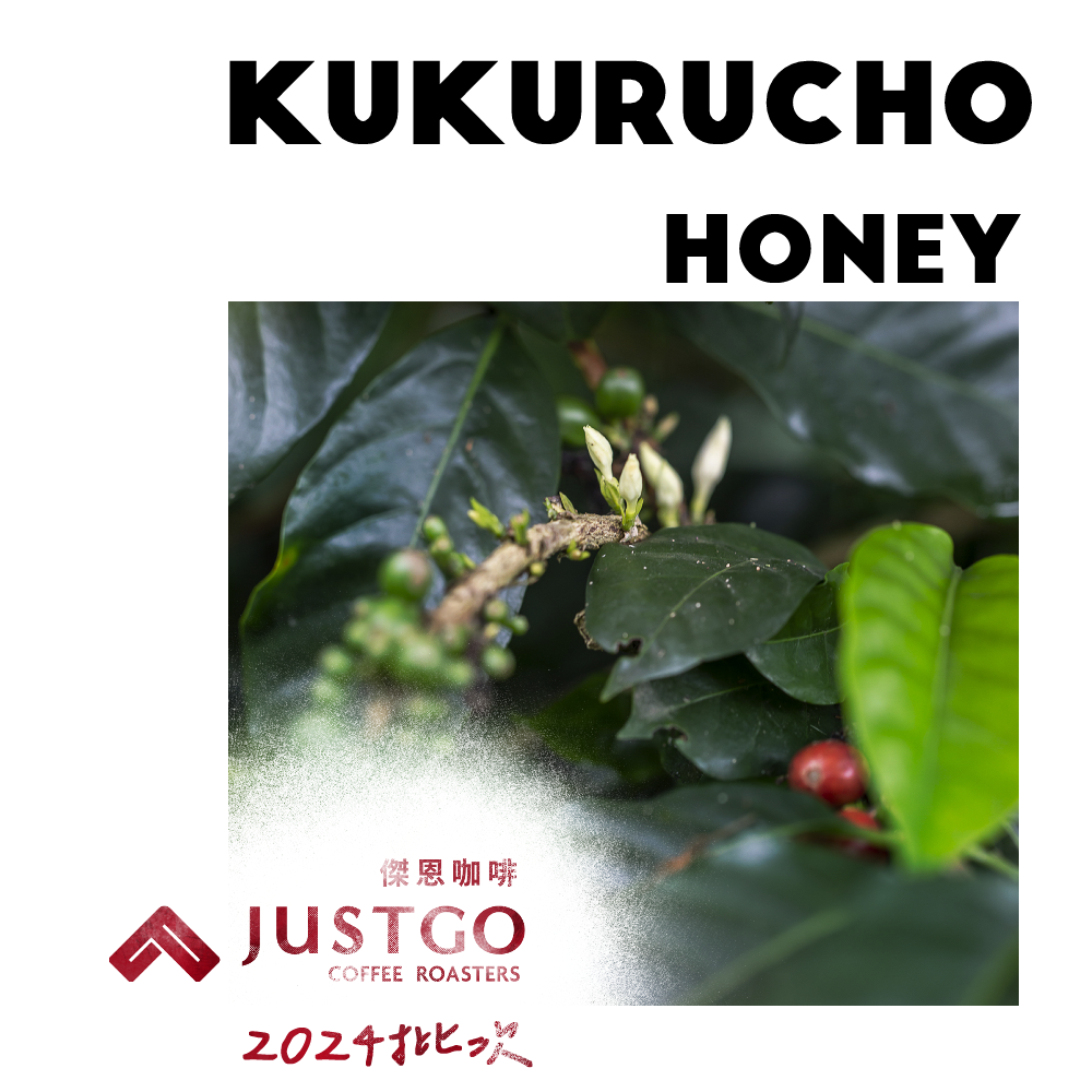 [生豆] No.7 宏都拉斯 咕咕莊園 藝妓 蜜處理