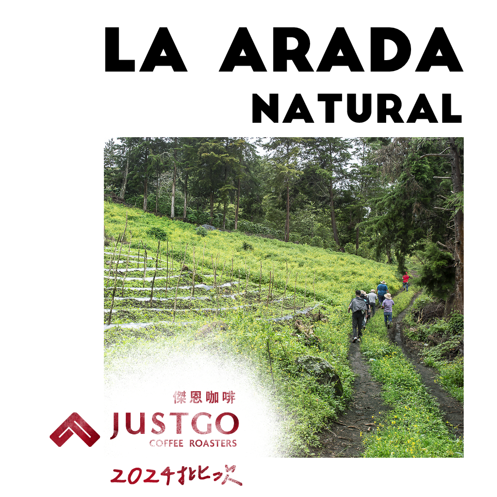 [生豆] No.8 宏都拉斯 阿拉達莊園 日曬