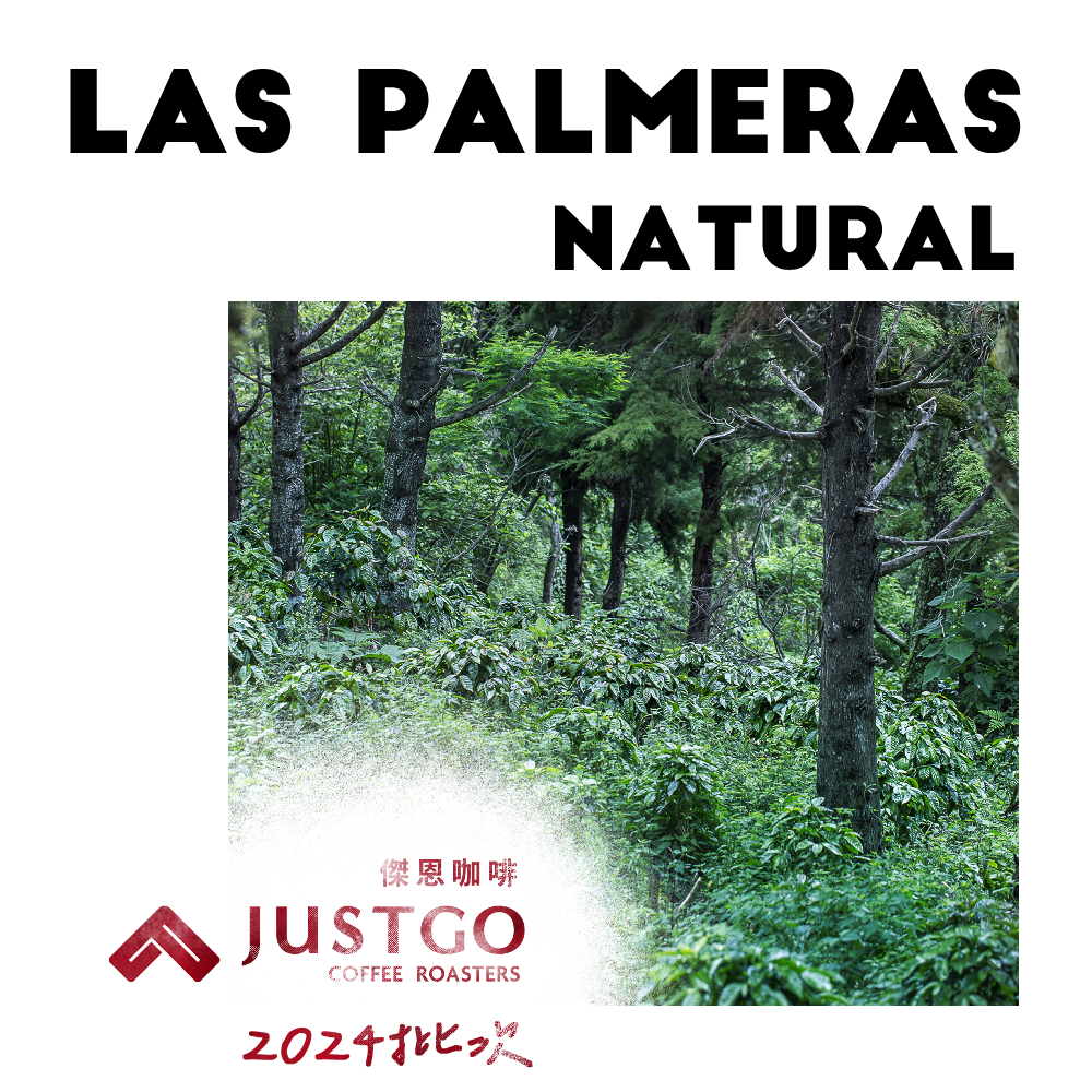 [生豆] No.13 宏都拉斯 棕櫚莊園 日曬