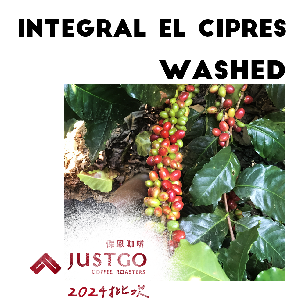 [生豆] No.2 宏都拉斯 探戈莊園 藝妓 水洗