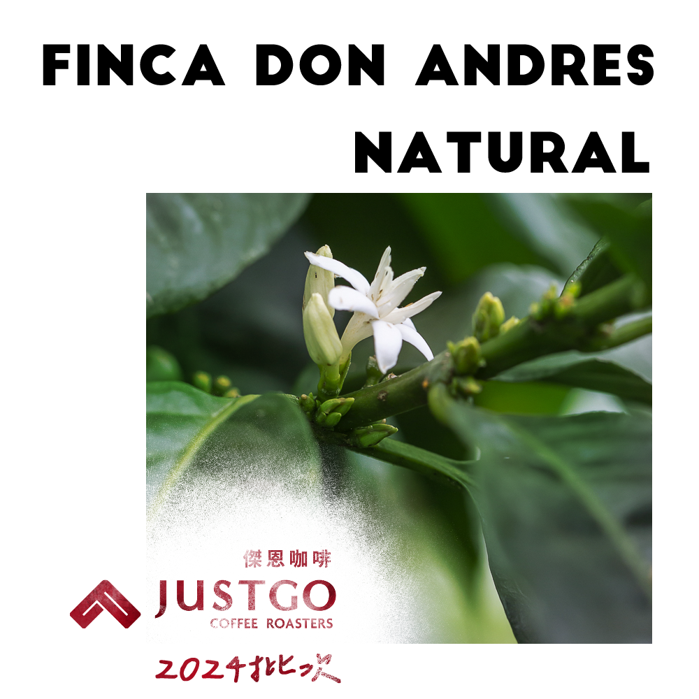 [生豆] No.6 宏都拉斯 安德烈莊園 日曬