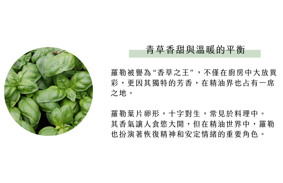 青草香甜與溫暖的平衡