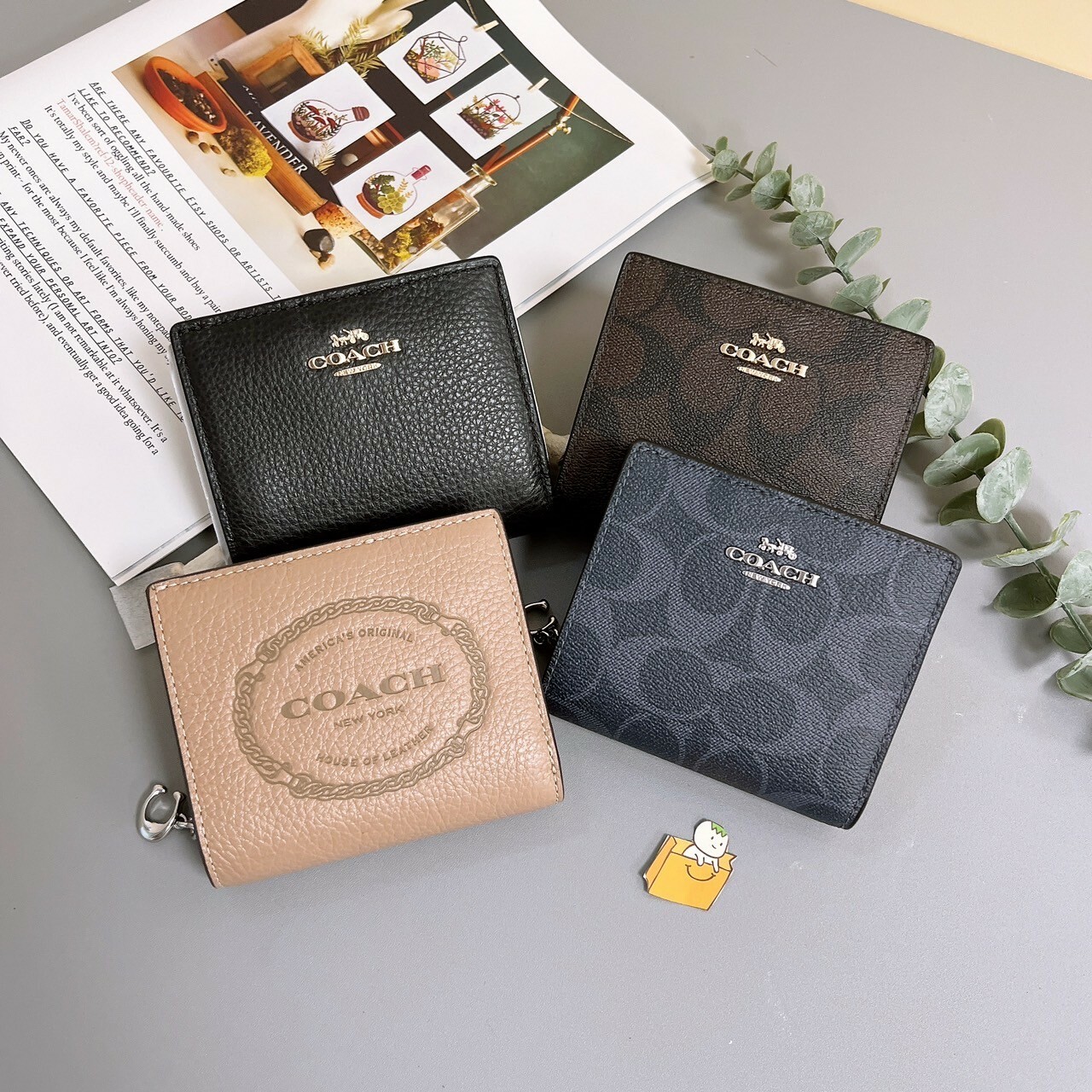 【現貨】coach 對開短夾 (多色可選) 新款 皮夾 女夾 皮包