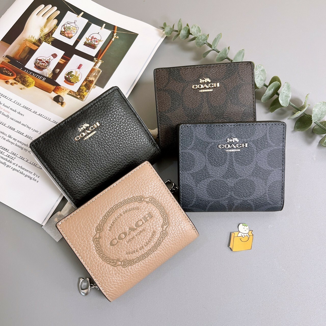 【現貨】coach 對開短夾 (多色可選) 新款 皮夾 女夾 皮包