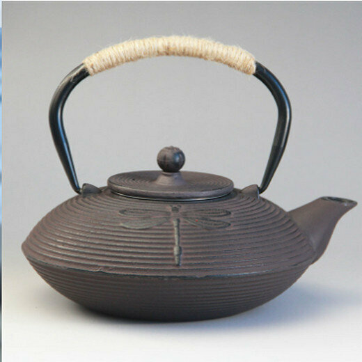 熱推復古帶過濾網鐵茶壺（800ml蜻蜓銹色)