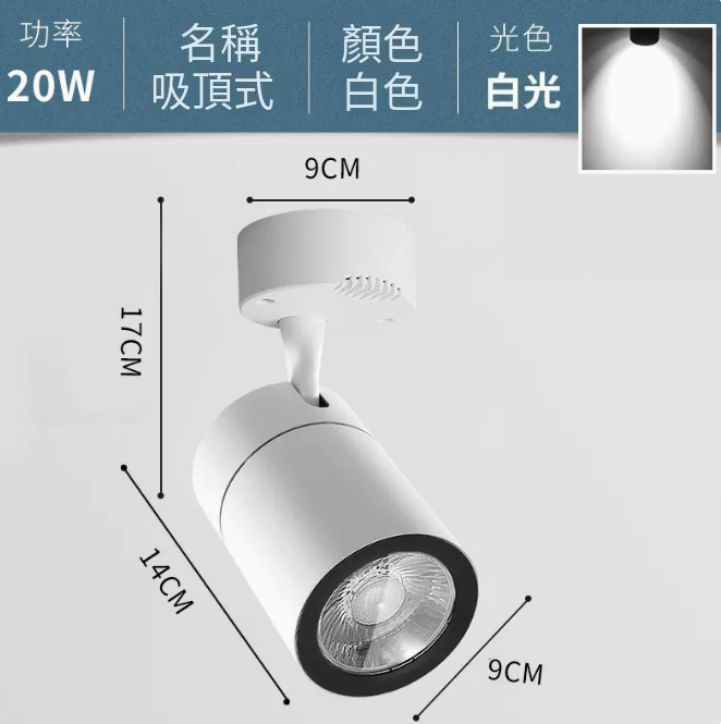 爆款COB吸頂式軌道燈（20W/白殼/正白光）