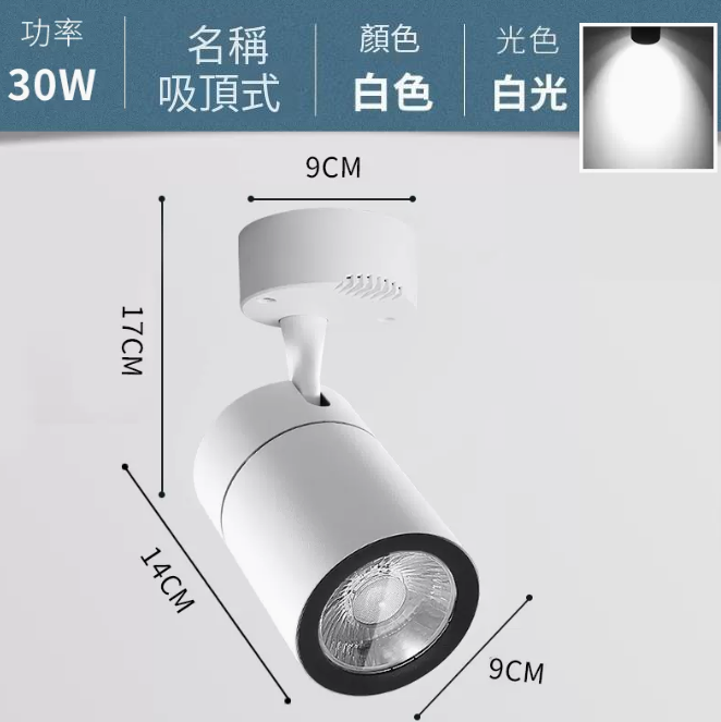 爆款COB吸頂式軌道燈（30W/白殼/正白光）