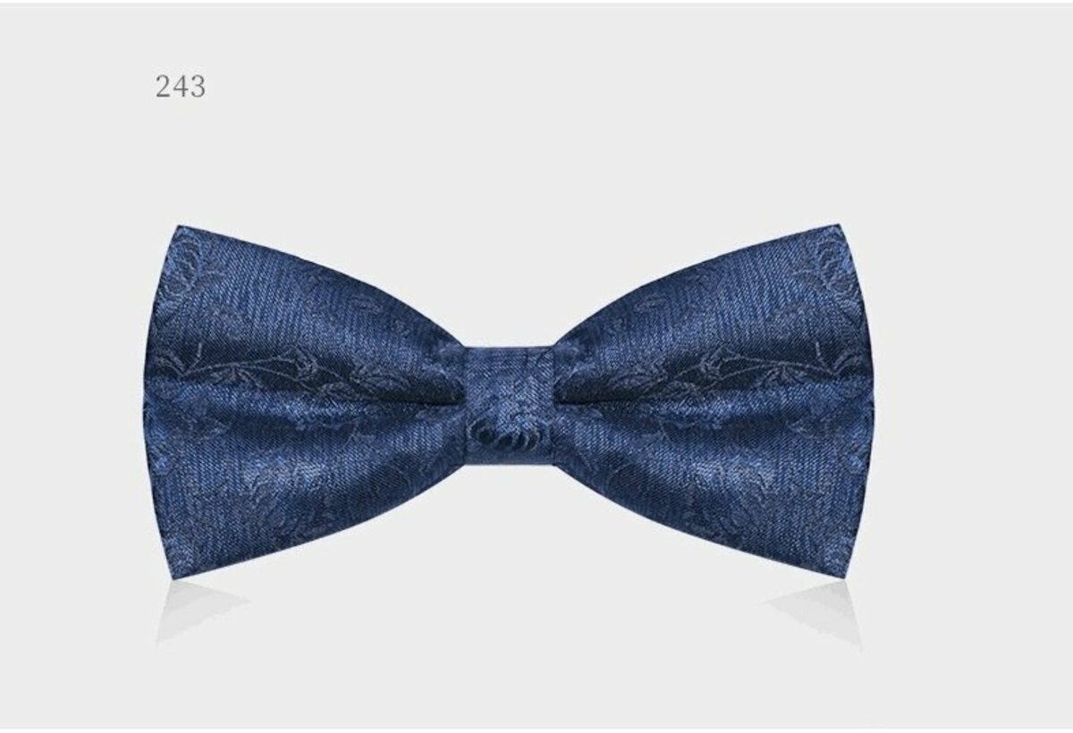 Men's Business Bow Tie (Blue Enchantress-243)