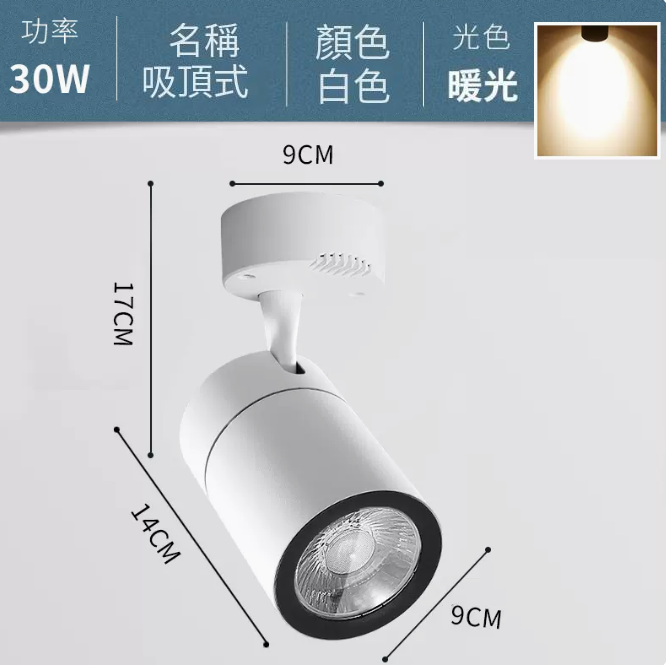 熱賣COB吸頂式軌道燈（30W/白殼/暖黃光）