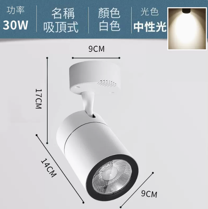熱賣COB吸頂式軌道燈（30W/白殼/中性光）